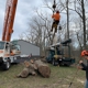 Owen's Tree Care