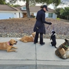 SLO Life Dog Training gallery