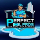 Perfect Pool Pros - Swimming Pool Repair & Service