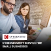 Cybernetic Networks Inc. gallery