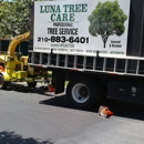 luna tree care - Tree Service
