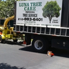 luna tree care