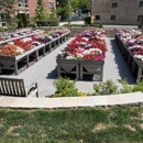 Walnut Place Apartments