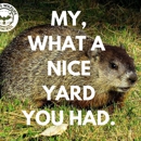 Kelly's Wildlife and Pest Control - Pest Control Services