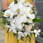 Beneva Weddings