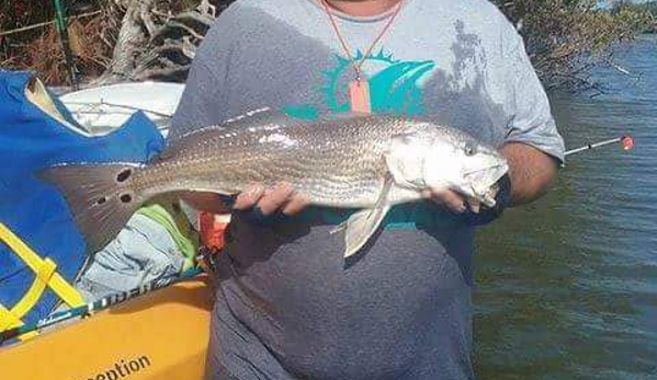 Aqua Time Pro Kayak Fishing Guides - Melbourne, FL. Multi spotted Redfish near Sebastian Inlet