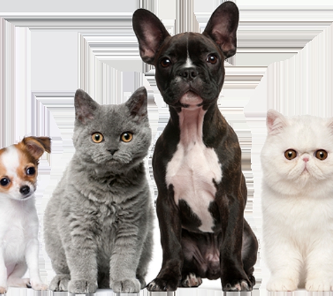 Abundant Animal Care and Veterinary Hospital - Canton, GA