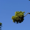 K & D Tree Masters Inc gallery