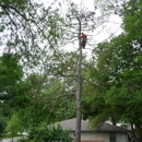 Kimball Tree Service - Gutters & Downspouts Cleaning