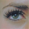 vivi lash studio gallery