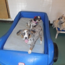 Bed & Biscuit Pet Inn and Salon - Pet Boarding & Kennels