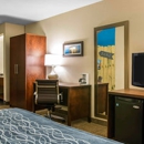 Comfort Inn & Suites Ludington near US-10 - Motels