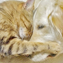 Affordable Veterinary Clinic - Veterinarians