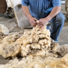 Sonoma Wool Company
