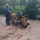 Stump Grinding Services - Tree Service