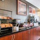 Comfort Inn Traverse City - Motels