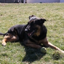 Skippack Animal Hospital - Veterinarians