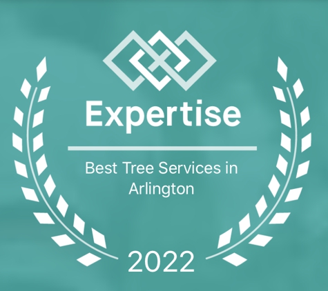 Price Right Professional Landscaping and Tree Service - Arlington, TX. Award Winning Tree Service