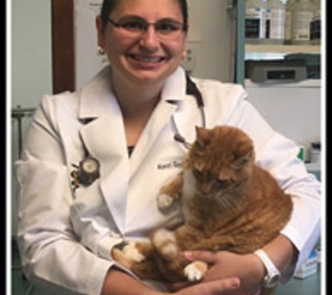 Silver Maple Veterinary Clinic - Kutztown, PA