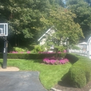 All Year Lawn - Lawn Maintenance