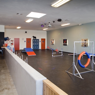 Zom Room Dog Training - Belmont, CA