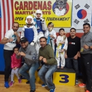 Lake County Taekwondo Martial Arts - Physical Fitness Consultants & Trainers