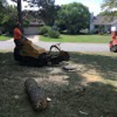 Ryan Lawn & Tree - Tree Service