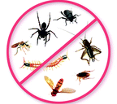 Gainesvlle Pest Control LLC - Gainesville, FL