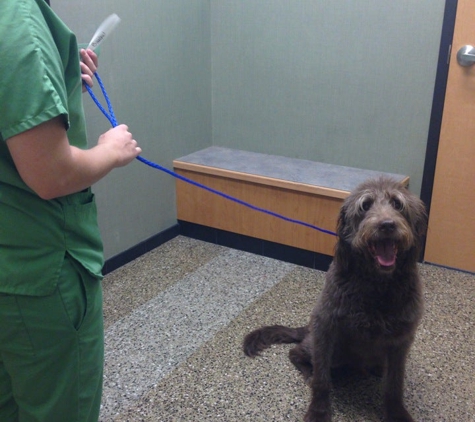 VCA Animal Care Center of Chicago - Chicago, IL