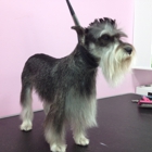 Puppylicious Pet Grooming Salon & Academy