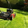 Castillo Lawn Service, Inc. gallery