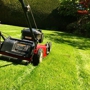 Castillo Lawn Service, Inc.