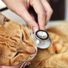 Madison Veterinary Clinic
