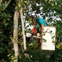 Lake Murray Tree Care