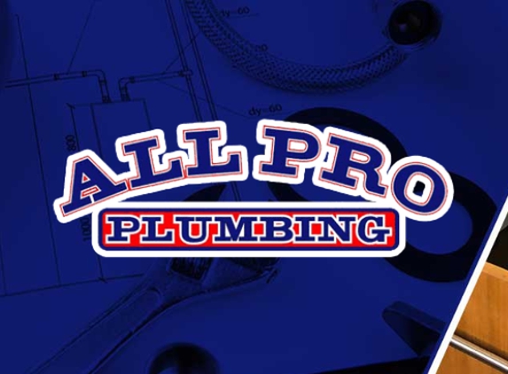 All Pro Plumbing - Tampa, FL