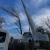 Kingkiner Tree Service gallery