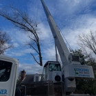 Kingkiner Tree Service