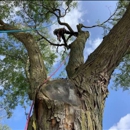 Hodson Family Tree Care - Tree Service