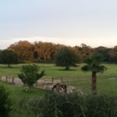 Twin Oaks Farm - Horse Training