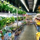 Cherry Hill Market - Fruits & Vegetables-Wholesale