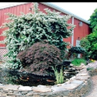Red Mill Landscaping & Nursery