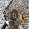 MiteBuster BedBug & Pest Control gallery