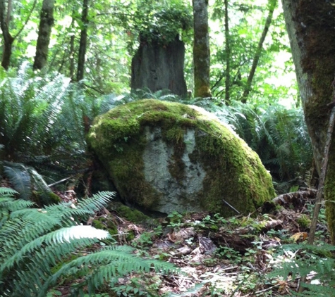 Lord Hill Regional Park - Snohomish, WA