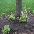Five Seasons Landscape Management - Landscape Designers & Consultants