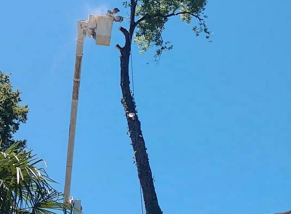 Broken Branch Tree Service - Salem, AL