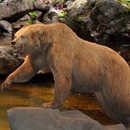 Bear Creek Western Store - Men's Clothing