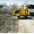 Best Tree Service