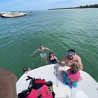 Island Hoppers Boat Tours - Dolphin Tours Anna Maria Island