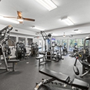 University Club Apartments - Furnished Apartments