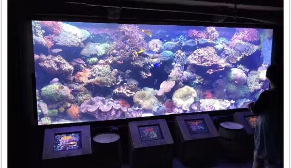 The Downtown Aquarium - Houston, TX